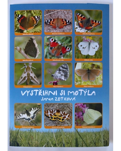 Vystřihni si motýla