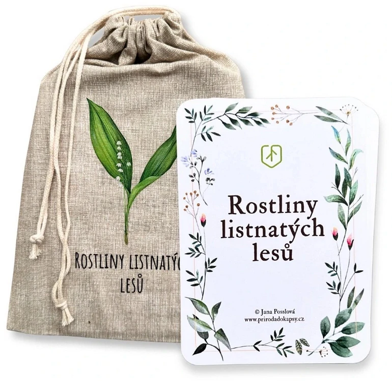 Rostliny listnatých lesů