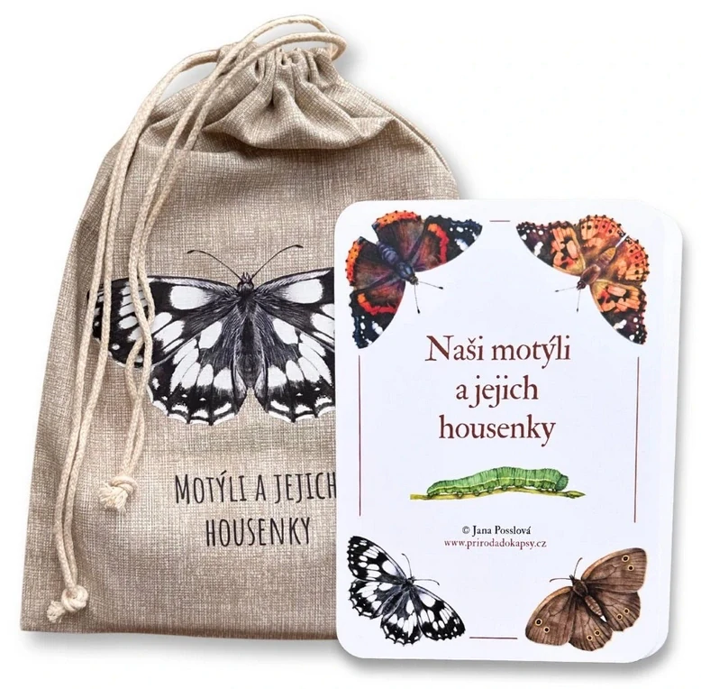 Motýli a jejich housenky