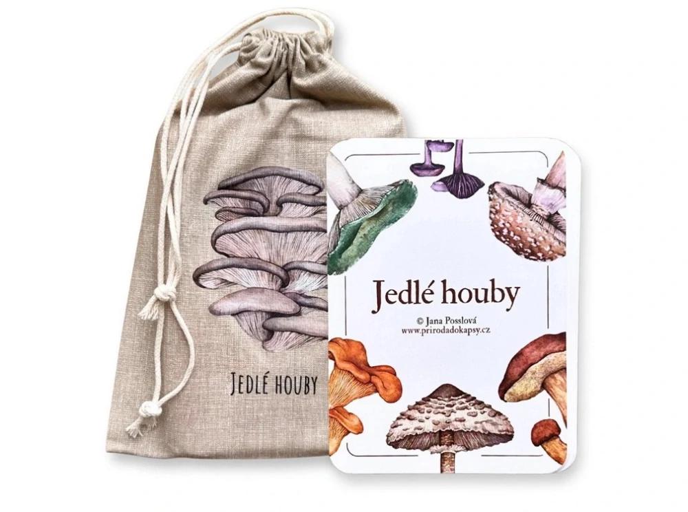 Jedlé houby