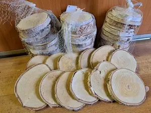 PLACKA - Dřevěné kolečko s březovou kůrou 6-9cm