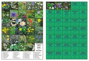 Květiny (tábornické pexeso)