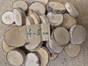 PLACKA - Dřevěné kolečko s březovou kůrou 4-5cm