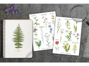 Samolepky – rostliny