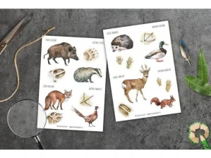 Samolepky - lesní zvířata a jejich stopy