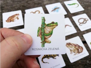 Pexeso obojživelníci a plazi