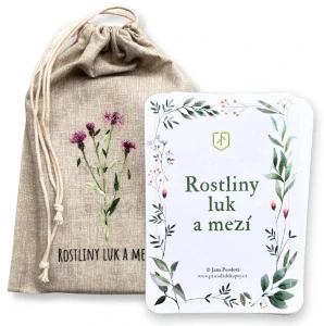 Rostliny luk a mezí