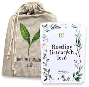Rostliny listnatých lesů