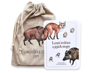 Lesní zvířata v ČR a jejich stopy