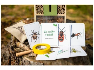 Co se děje v trávě?