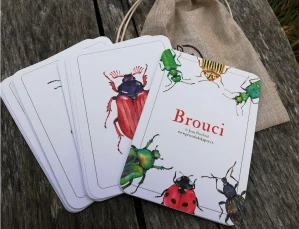Brouci