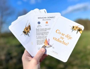 Co se děje ve vzduchu?