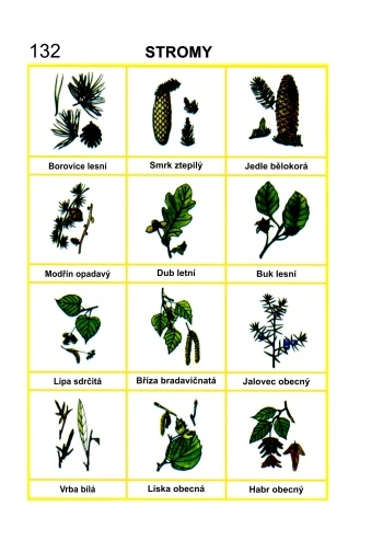 Táborníkův rok POD MODROU OBLOHOU