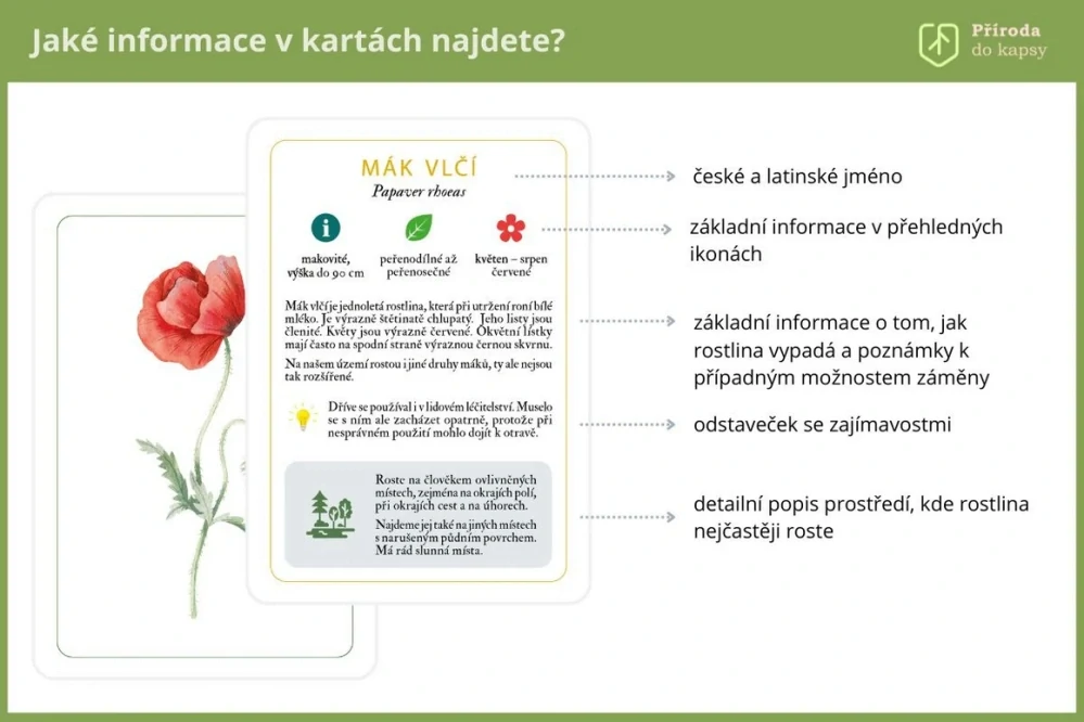 Rostliny okolí lidských sídel