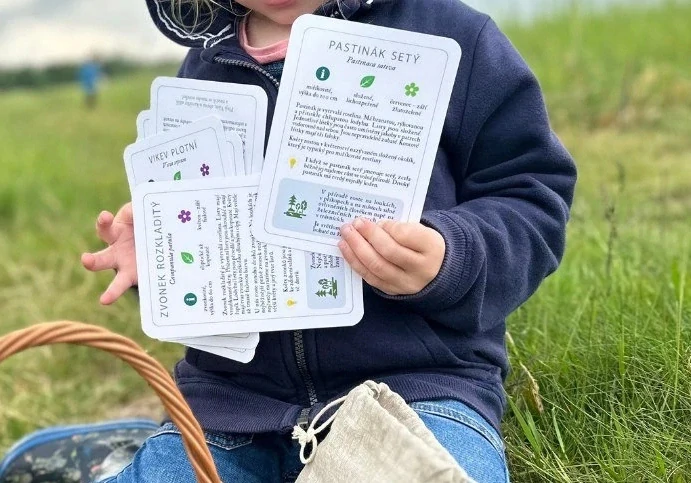 Rostliny luk a mezí