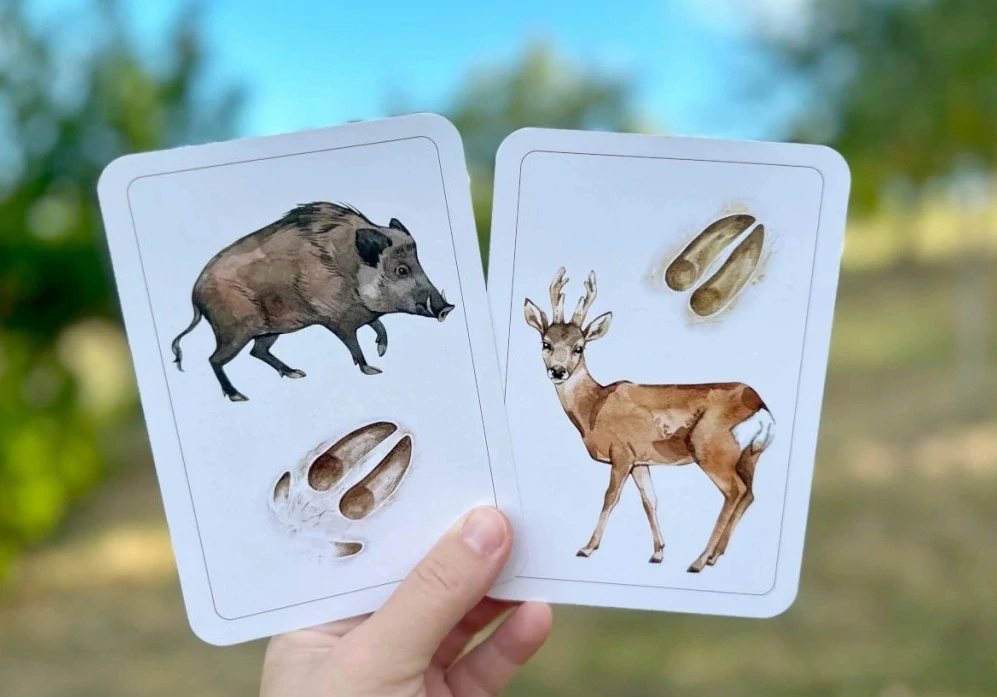 Lesní zvířata v ČR a jejich stopy