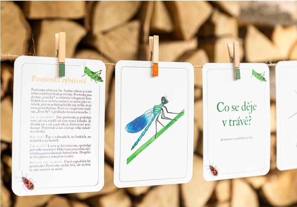 Co se děje v trávě?