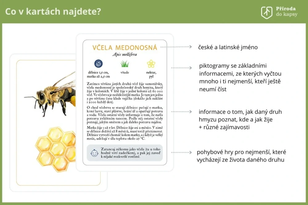 Co se děje ve vzduchu?