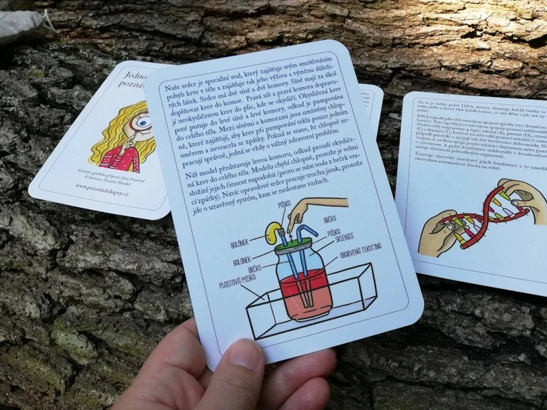 Jednoduché pokusy pro poznávání lidského těla 