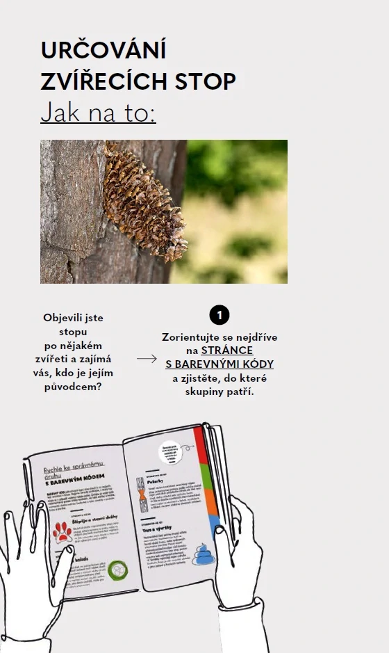 Stopy zvířat - Do kapsy