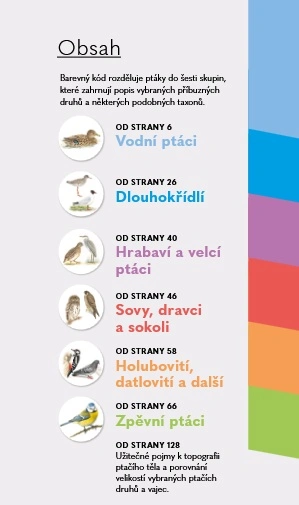 Ptáci - Do kapsy