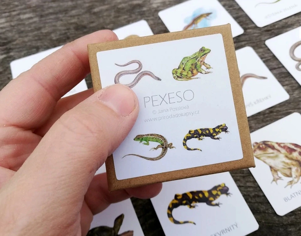 Pexeso obojživelníci a plazi