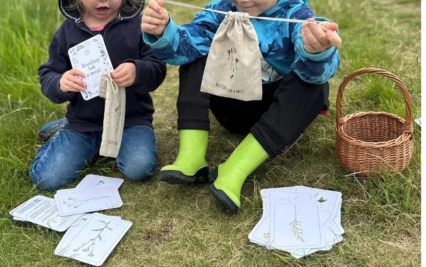 Rostliny luk a mezí