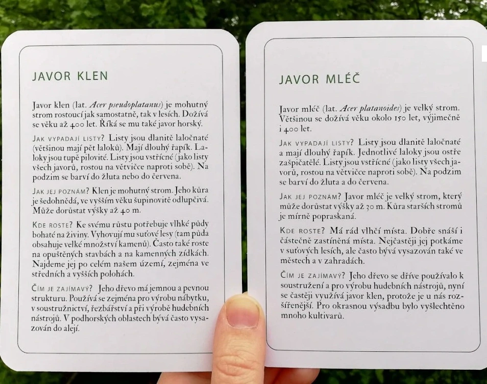 Listnaté stromy a jejich plody