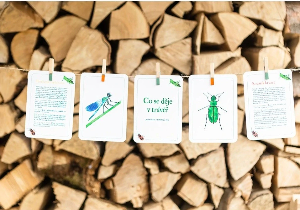 Co se děje v trávě?