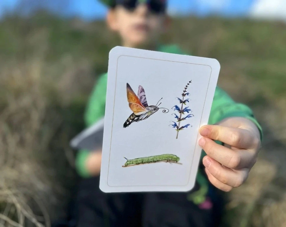 Co se děje ve vzduchu?