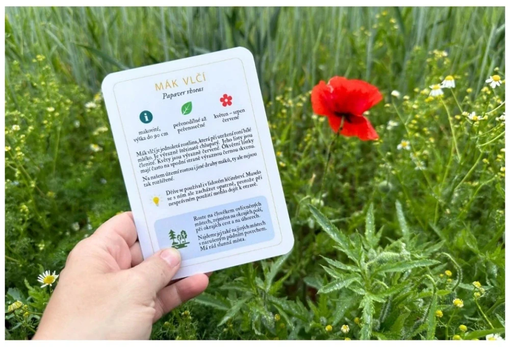 Rostliny okolí lidských sídel