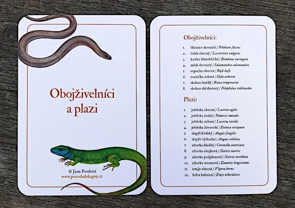 Obojživelníci a plazi