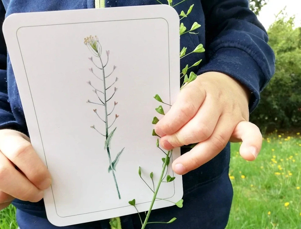 Rostliny - zážitkové karty pro nejmenší