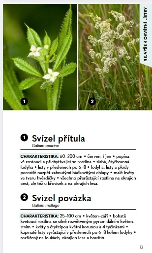 Rostliny - Do kapsy