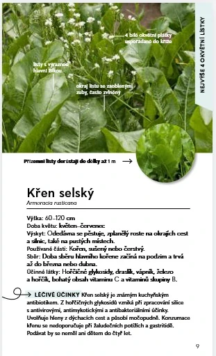 Léčivé rostliny - Do kapsy