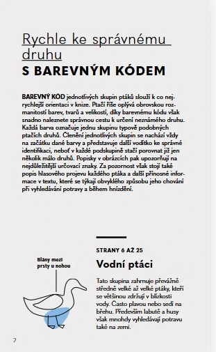 Ptáci - Do kapsy