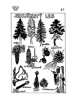 Táborníkův rok POD MODROU OBLOHOU