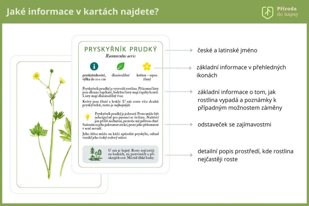 Rostliny luk a mezí