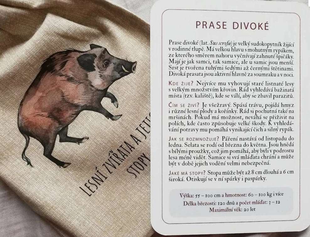 Lesní zvířata v ČR a jejich stopy