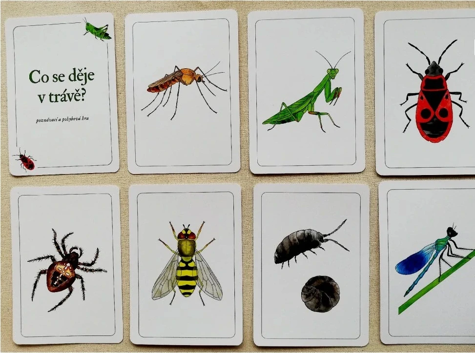 Co se děje v trávě?