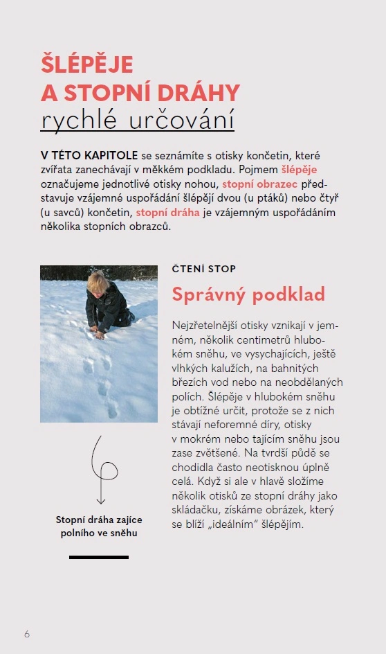 Stopy zvířat - Do kapsy