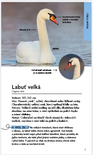 Ptáci - Do kapsy