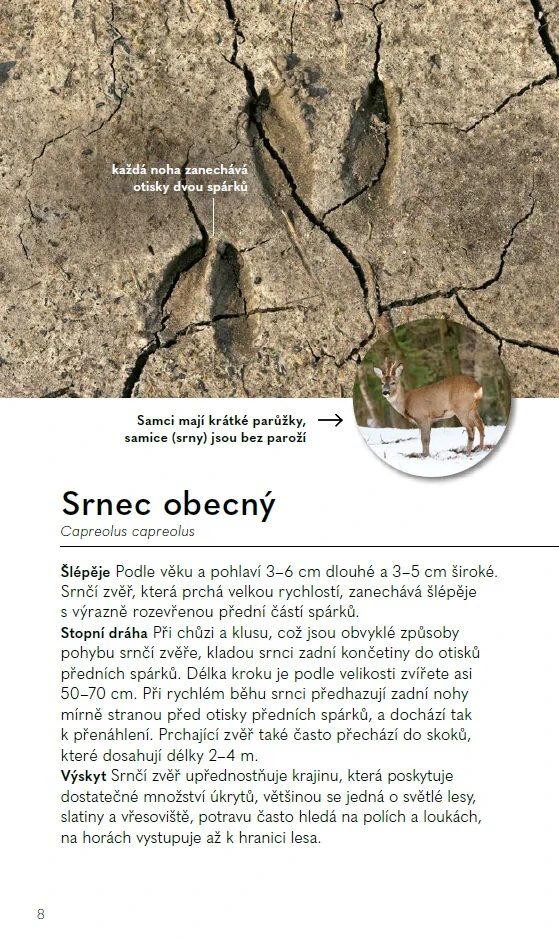 Stopy zvířat - Do kapsy