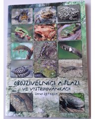 Obojživelníci a plazi ve vystřihovánkách
